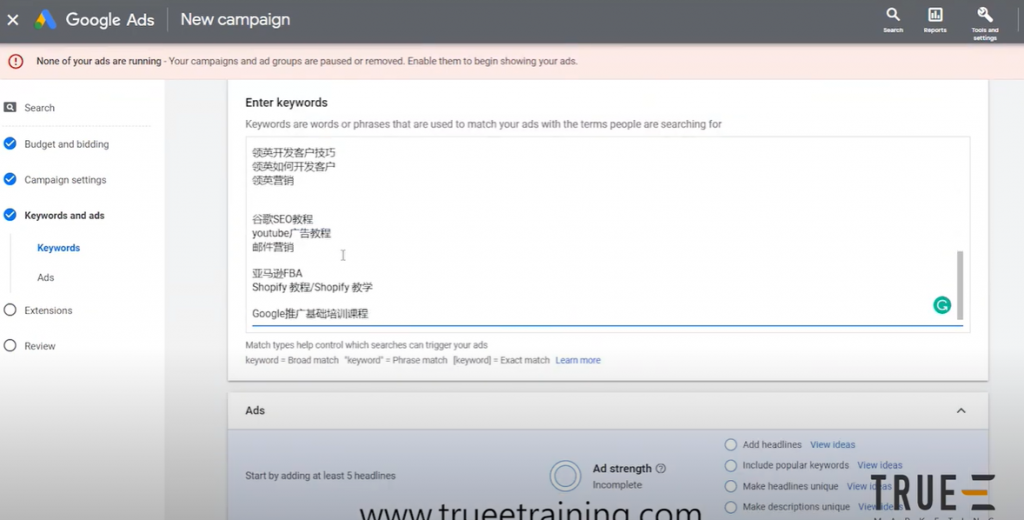 谷歌Search广告, 2022版手把手教你谷歌Search广告投放技巧: 10分钟谷歌广告教程 2/3, True-E