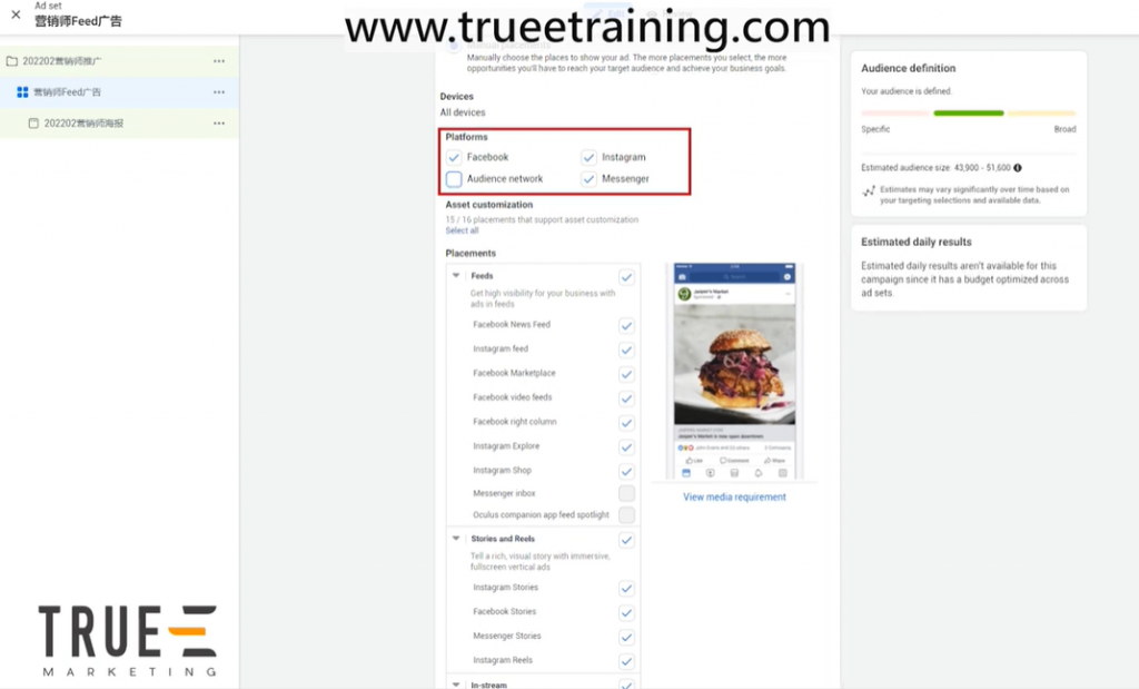 Facebook广告, 2022版手把手教你如何设置一个Facebook广告(meta广告):10分钟谷歌广告教程 3/4, True-E