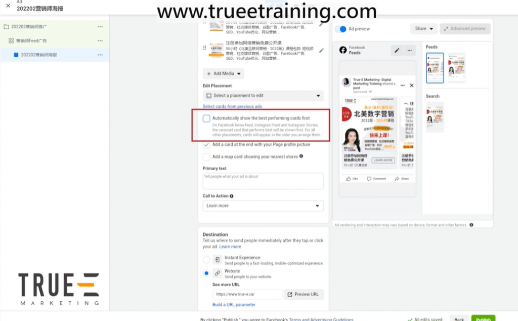 Facebook广告, 2022版手把手教你如何设置一个Facebook广告(meta广告）:10分钟谷歌广告教程 4/4, True-E