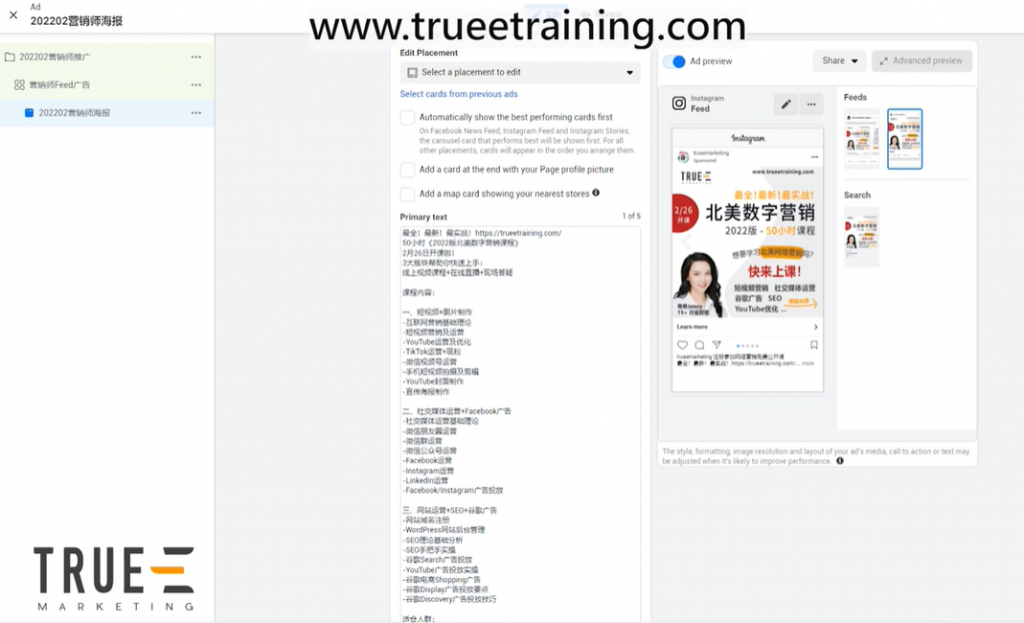 Facebook广告, 2022版手把手教你如何设置一个Facebook广告(meta广告）:10分钟谷歌广告教程 4/4, True-E