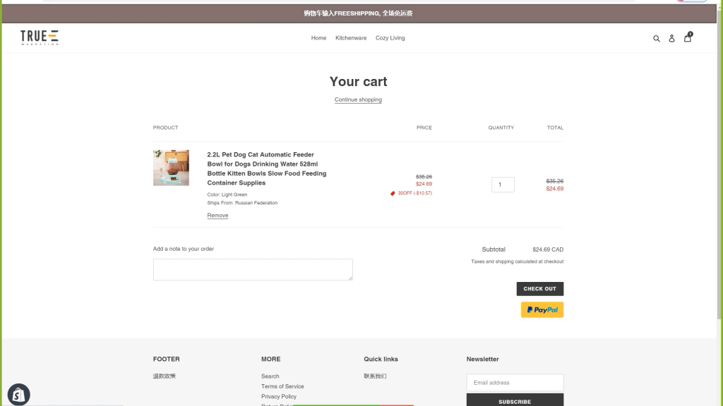 独立站电商运营, Shopify电商,独立站电商运营攻略! PART 4, True-E