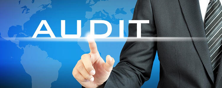 2024社交媒体免费培训专不专业?